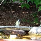 photo 2021-08-24 16-50-12 cinke