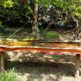 photo 2021-04-26 11-57-20