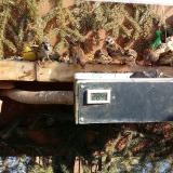 photo 2021-02-13 12-14-34