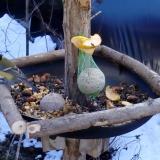 photo 2019-01-14 12-16-40