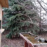 photo 2021-12-12 12-33-31