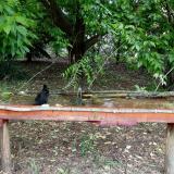 photo 2021-05-24 11-26-15