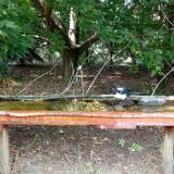 photo 2021-08-23 15-05-41