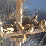 photo 2019-12-31 13-49-38