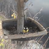 photo 2019-12-29 08-33-52