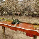 photo 2021-03-23 11-29-05