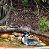 photo 2021-04-22 15-20-30 cinke