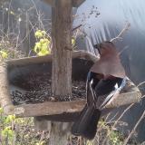 photo 2019-12-22 11-34-08