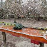 photo 2021-03-25 07-46-15