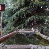 photo 2023-10-10 17-58-39