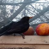 photo 2022-01-20 15-59-37 rigo