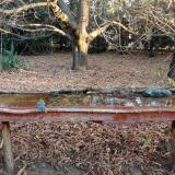 photo 2021-10-27 08-21-02