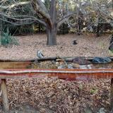 photo 2021-10-26 07-58-45