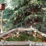 photo 2023-10-04 15-35-51