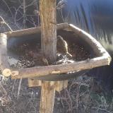 photo 2019-02-23 11-52-07