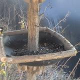 photo 2019-12-31 12-35-28