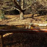 photo 2021-10-25 14-35-38