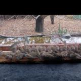 photo 2021-11-28 12-39-17