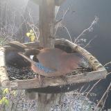 photo 2019-12-28 07-48-31