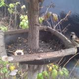 photo 2019-12-09 11-37-42