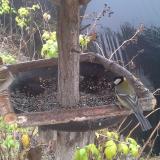 photo 2019-12-14 10-30-25