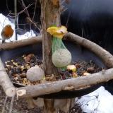 photo 2019-01-17 08-24-16