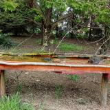 photo 2021-04-26 14-06-44