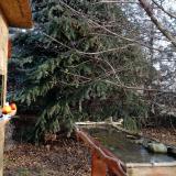 photo 2021-12-15 09-15-30