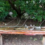 photo 2021-09-07 14-55-49