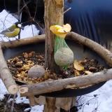 photo 2019-01-14 11-43-22