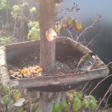 photo 2019-12-08 08-34-05