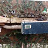 photo 2021-02-02 13-39-26