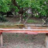 photo 2021-05-06 19-21-26