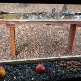 photo 2021-11-03 13-54-24