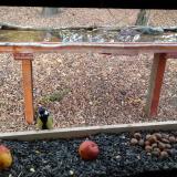 photo 2021-11-03 13-52-43