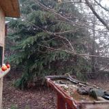 photo 2021-12-16 08-01-33