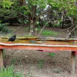 photo 2021-04-26 15-22-26