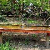 photo 2021-04-27 16-36-49