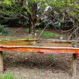 photo 2021-04-19 12-48-39