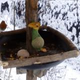 photo 2019-01-20 08-44-52