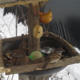 photo 2019-01-27 13-19-31