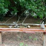 photo 2021-07-12 11-48-53