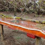 photo 2021-04-01 16-46-47