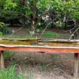 photo 2021-04-29 15-13-41