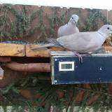 photo 2021-03-06 08-10-58