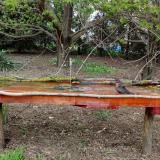 photo 2021-04-17 16-49-11