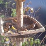 photo 2019-12-08 13-53-21