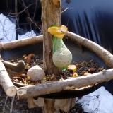 photo 2019-01-17 10-03-38