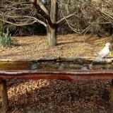 photo 2021-10-26 15-07-13