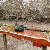 photo 2021-03-25 09-36-15